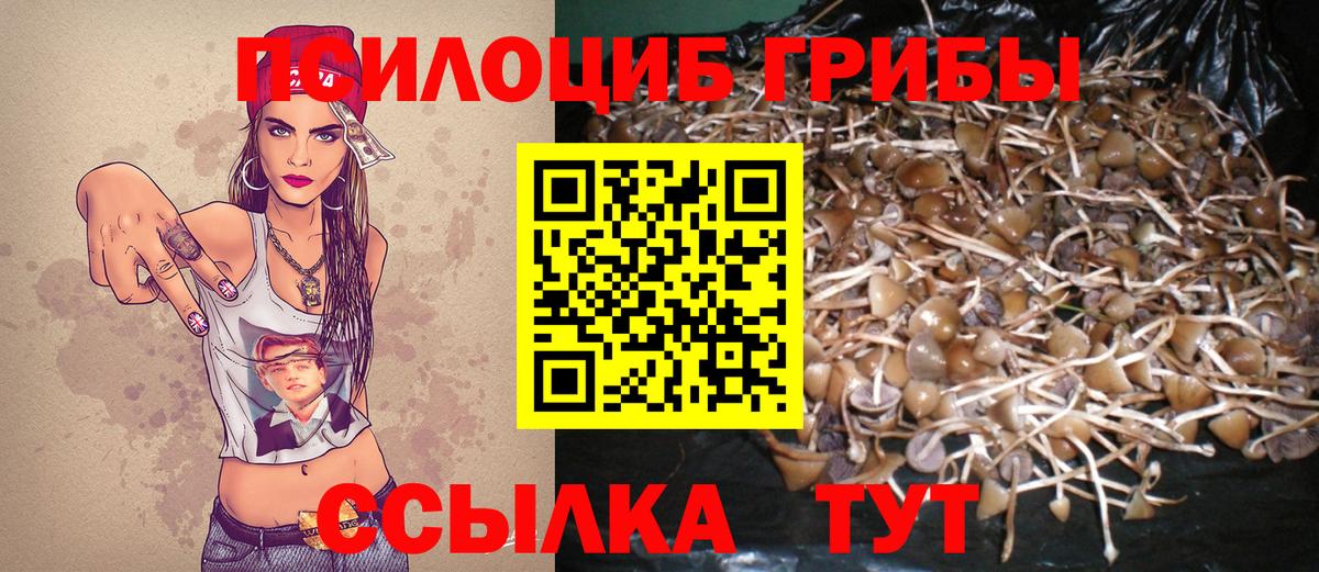 Тутаев  Галлюциногенные грибы GOLDEN TEACHER  Вход с VPN 