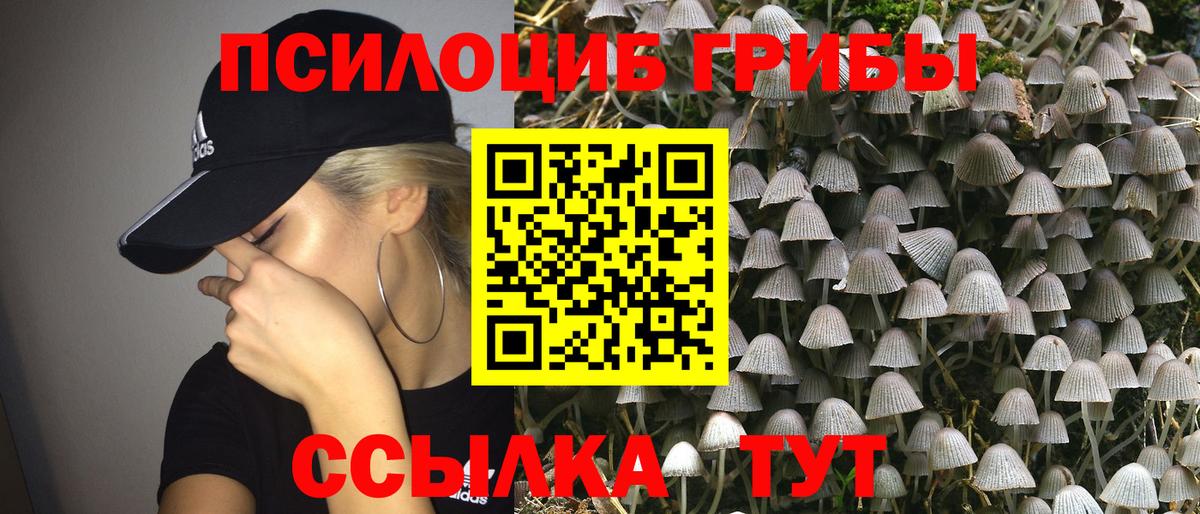 Псилоцибиновые грибы мухоморы Тутаев
